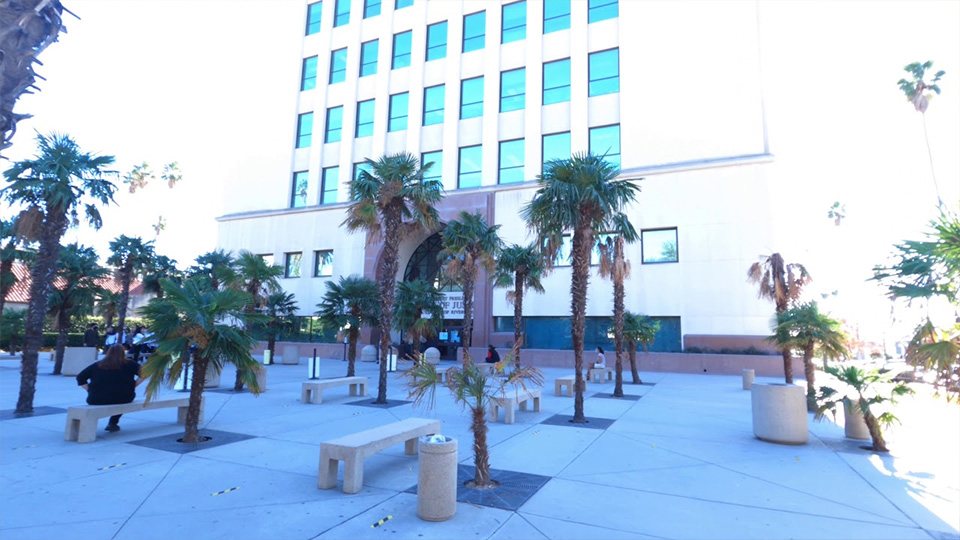 Balboa Bail Bonds